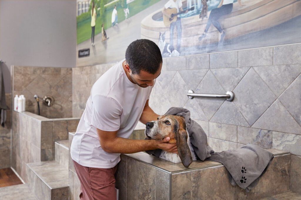 A franchise client uses the dog-washing station inside a Pet Valu location.