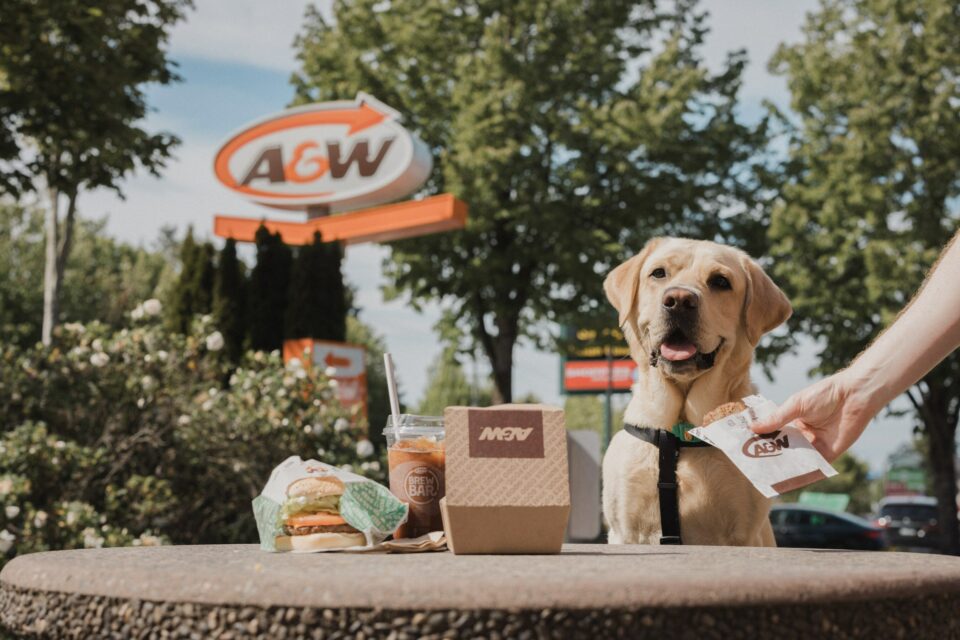 A dog with their very own Pup Patty sits outside an A&W