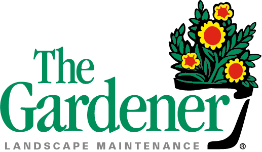 Franchise Logo